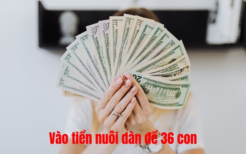 Vào tiền nuôi dàn đề 36 con